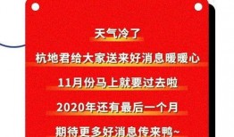 会城最新爆料消息新闻,揭秘重大新闻事件背后的真相