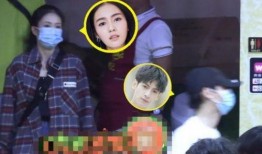 媒体爆料白鹿事件视频大全,揭秘背后真相与争议