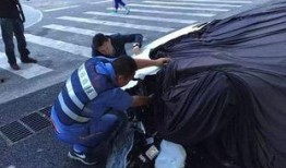 娱乐吃瓜酱车祸,真相揭秘与反思