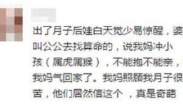 吃瓜吐槽的小说免费阅读,小说世界里的欢乐与泪点